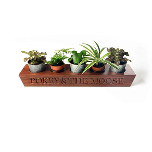 Tealight Candle Holders - 1