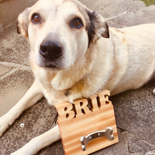 Dog leash holder custom with dogs name