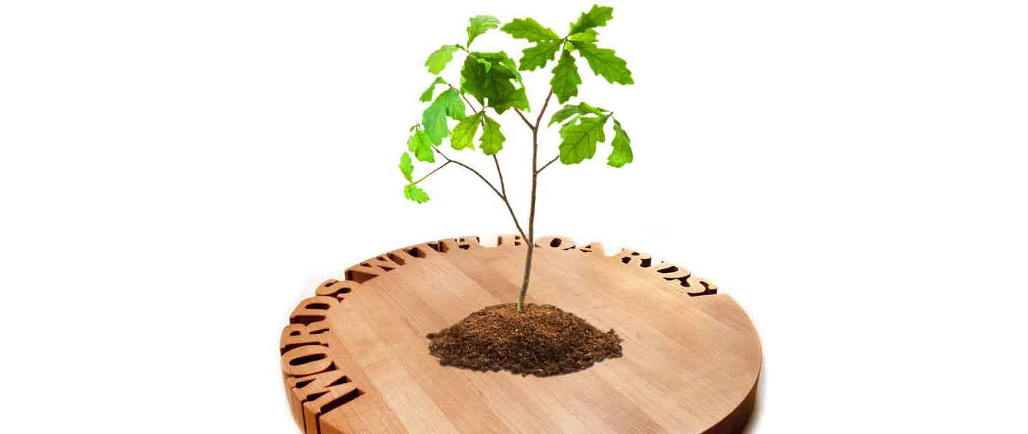 GIFTS THAT GIVE BACK