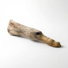 Land Animal Art