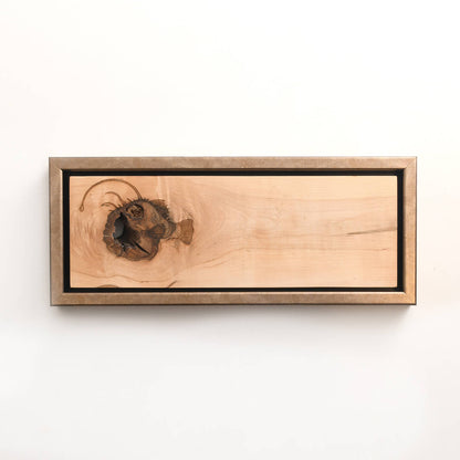 angler fish engraved on wood, framed sea animal art