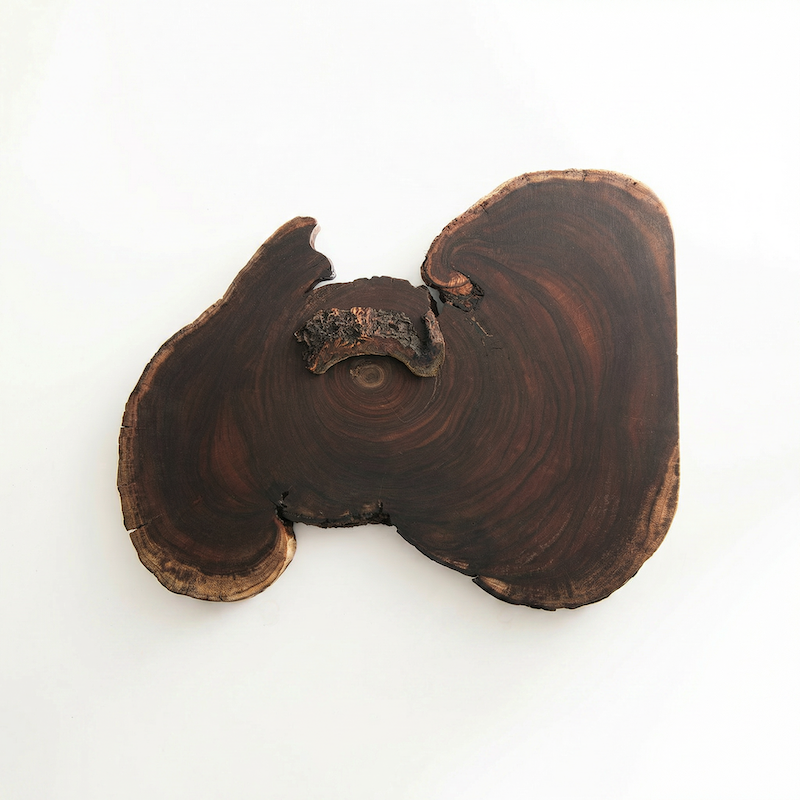 dark wood that resembles a elephant, on white background