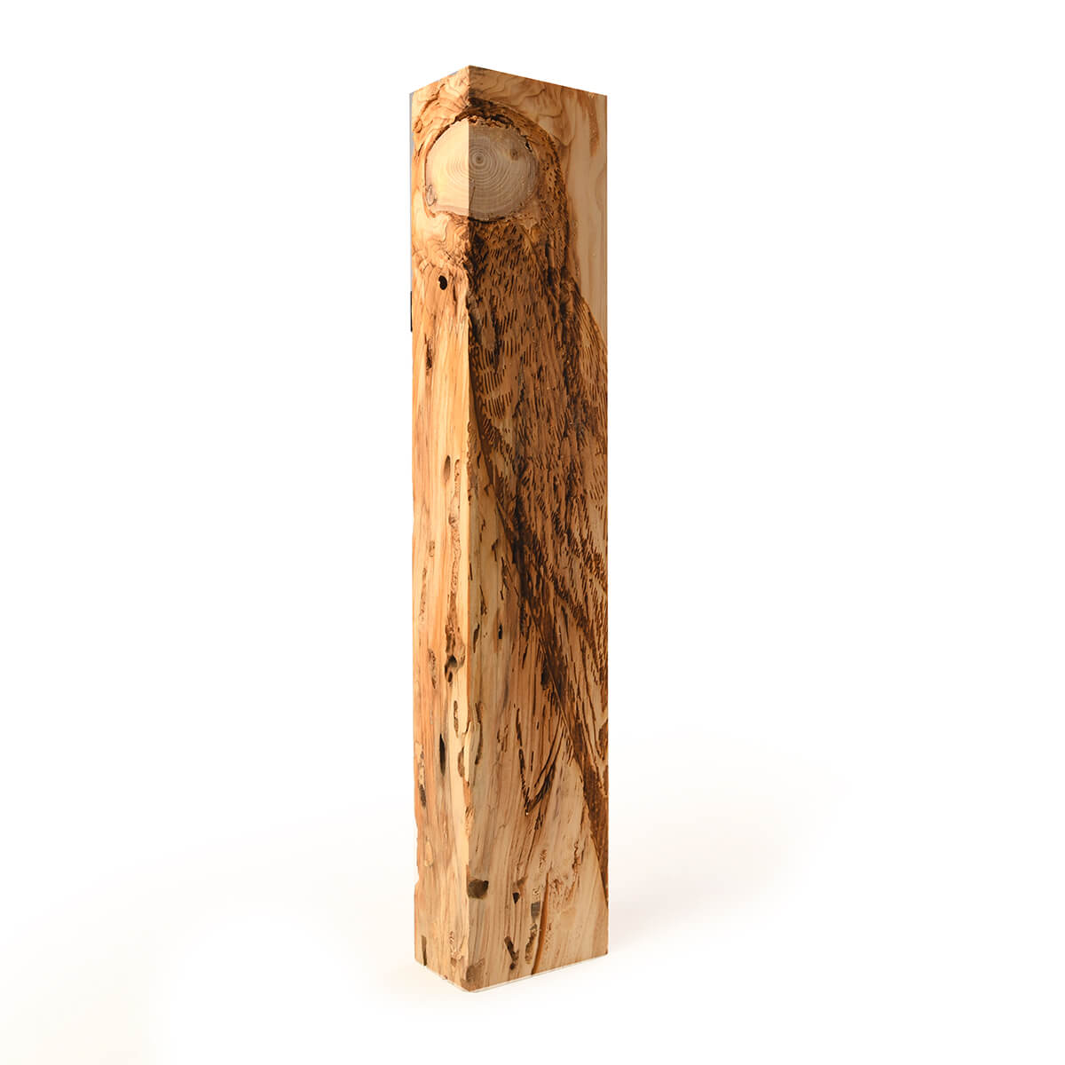 Hawk engraved on wood, land animal lart