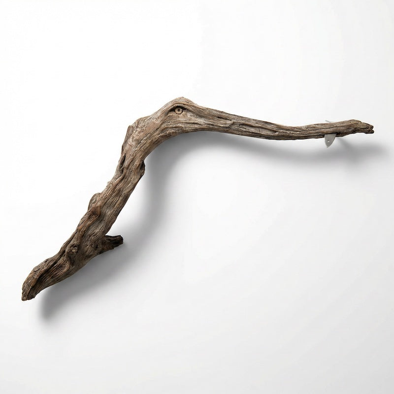 cypress root made to look like a heron
