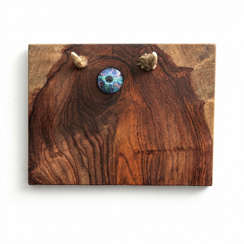 walnut wood art with glass eye and 2 small horns that looks like made up creature, on white background