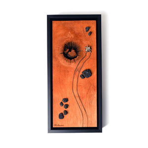 Mars scene on wood with Rover and rocks