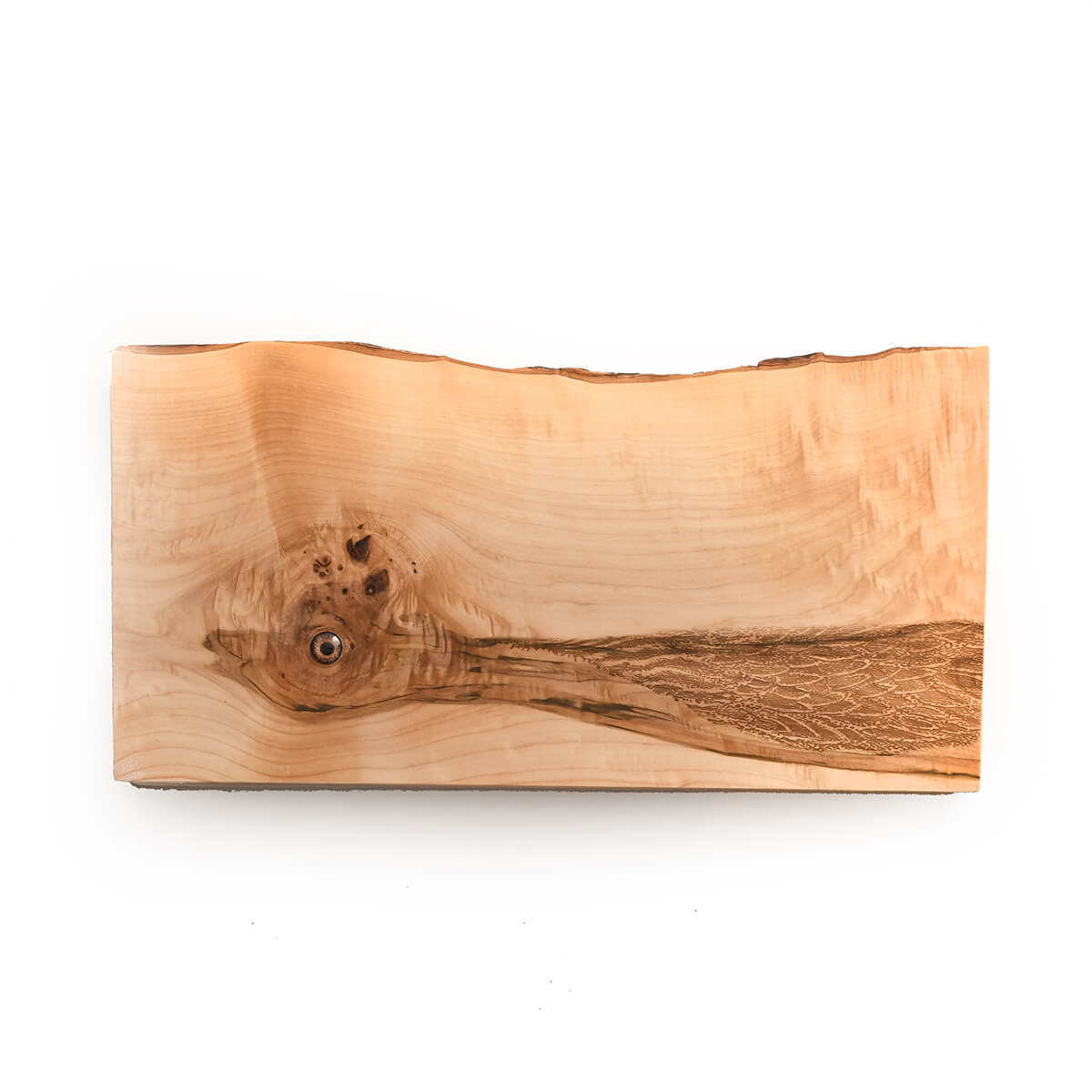 Roadrunner laser engraved on live edge wood, hanging art, white background