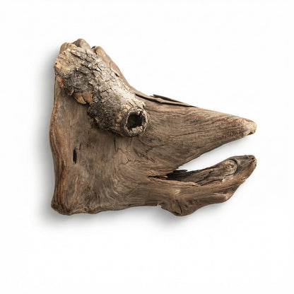 wood sculpted to look like a sockeye, white background