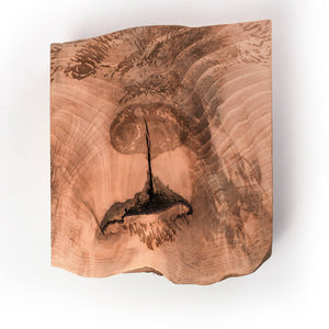 beg bear engraved on live edge wood