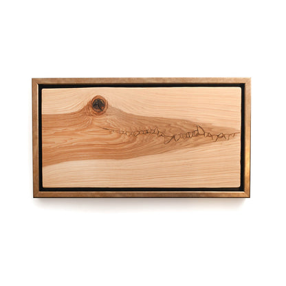 alligator on wood, framed