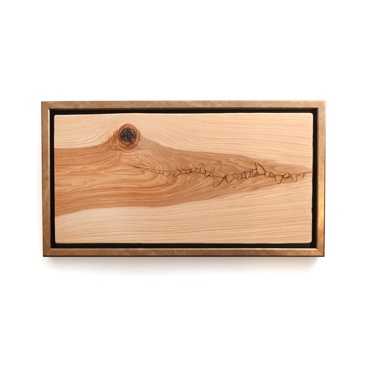 alligator on wood, framed