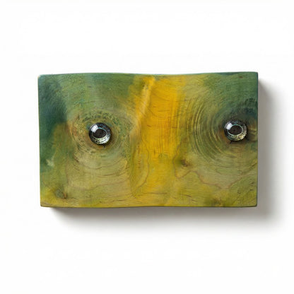 wood stained in green and yellow with2 glass eyes used for art to hand on a wall, white background