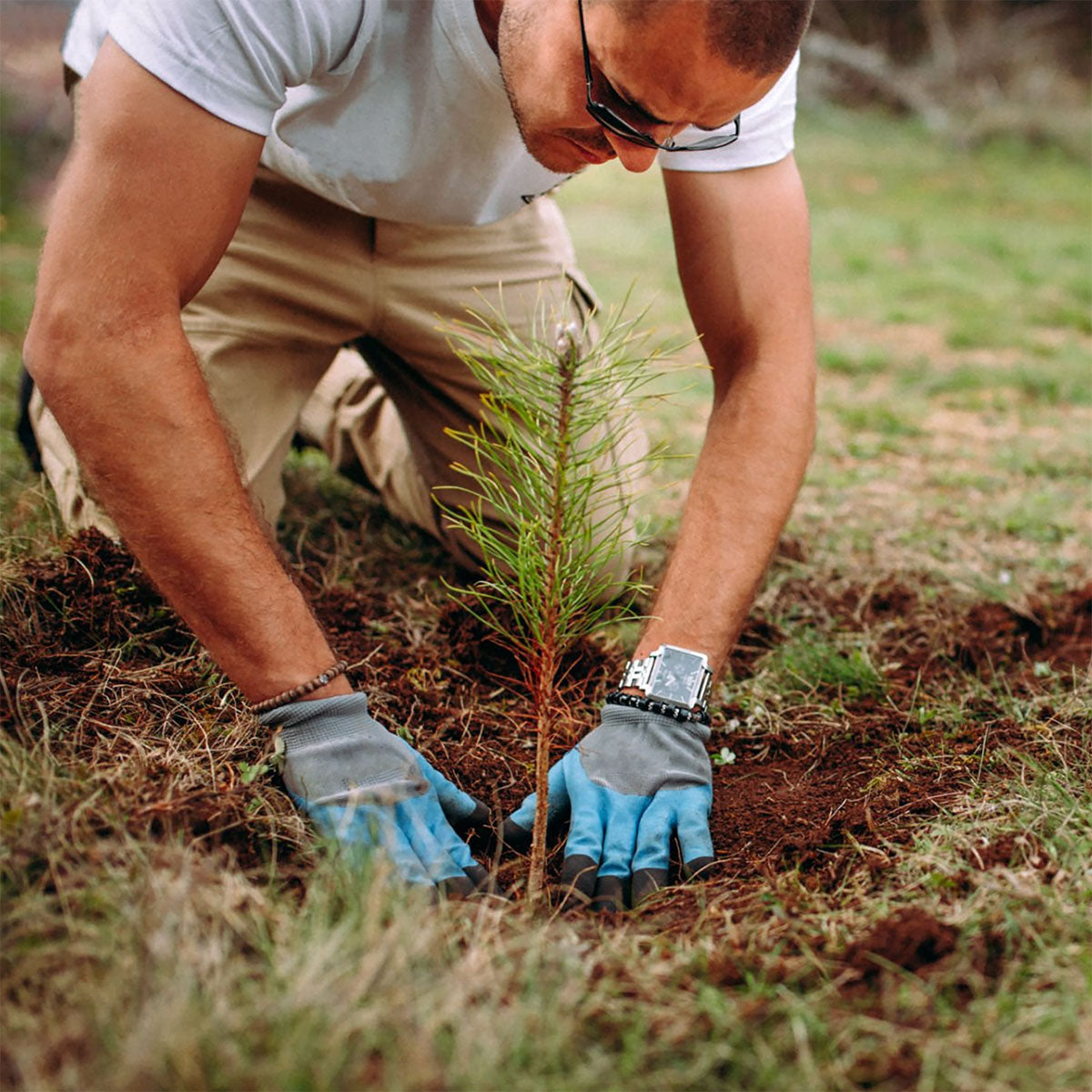 A man wearing a white t-shirt, khaki pants, and blue work gloves kneels in a grassy field while planting a small green sapling.