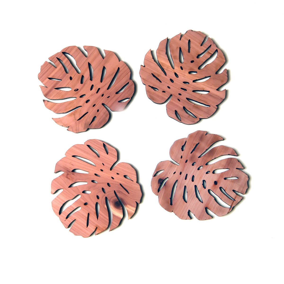 Monstera leaf coaster, set of 4